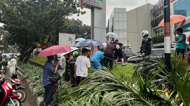 Pohon Tumbang Timpa Mobil Mewah, Satu Orang Tewas