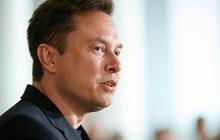 Dulu Donatur Trump, Mark Zuckerberg dan Elon Musk Kini Telan Kerugian Triliunan Dolar AS