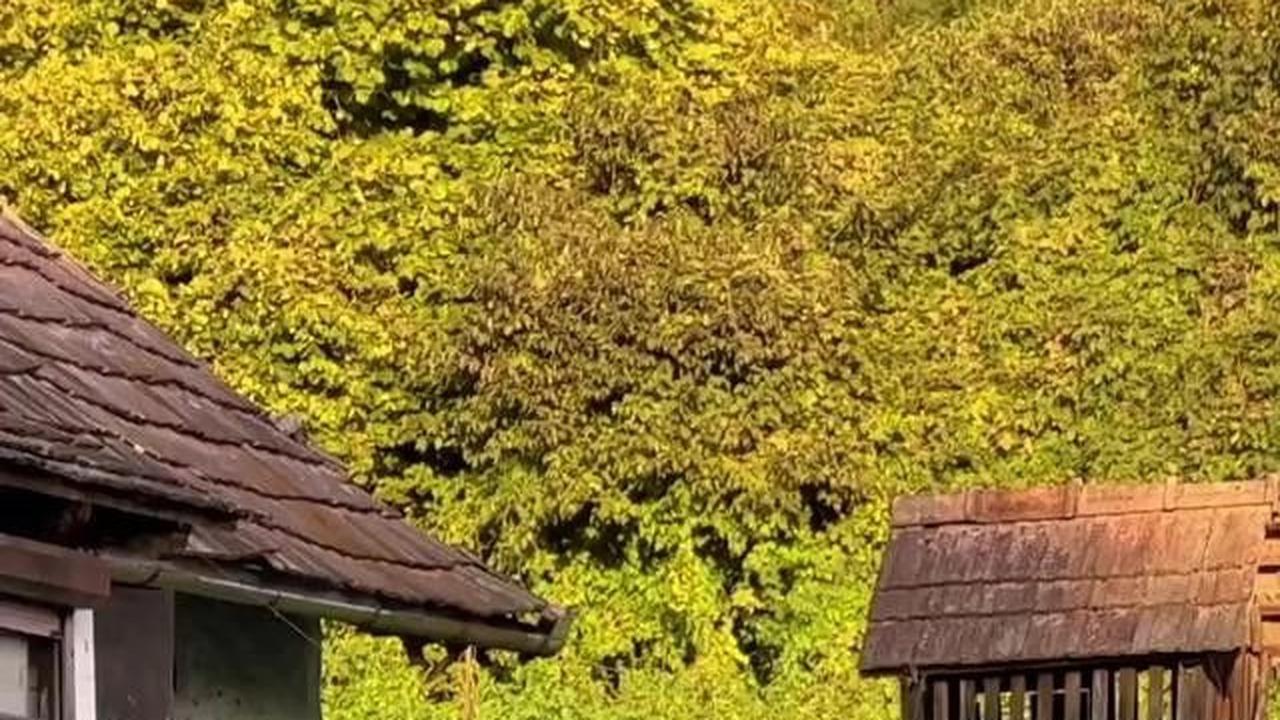 VIDEO Suasana Desa di Eropa Ternyata Mirip dengan Desa di Indonesia