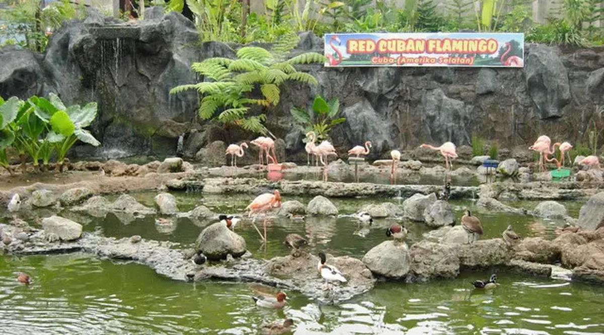 13 Wisata Malang Terbaru yang Terpopuler dan Hits, Cocok untuk Liburan Keluarga
