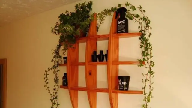 Daun Ivy. Foto: ourhouseplants