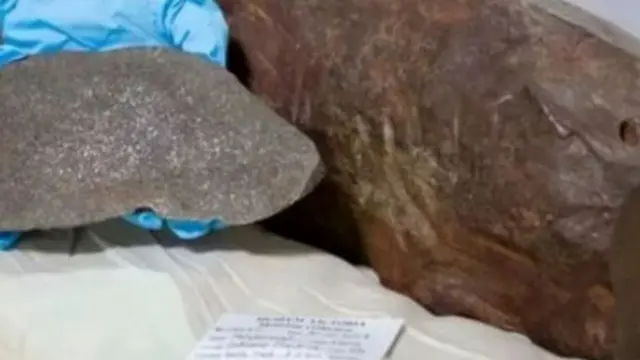 Pria Ini Temukan Batu Unik, Ternyata Meteorit Langka Berusia 4,6 Miliar Tahun