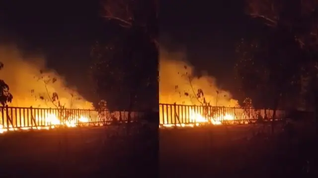 Kebakaran TNWK mendekati lintasan gajah dan pagar pembatas satwa di wilayah desa penyangga. (Liputan6.com/Istimewa)