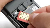 Ilustrasi SIM Card (wisegeek.org)