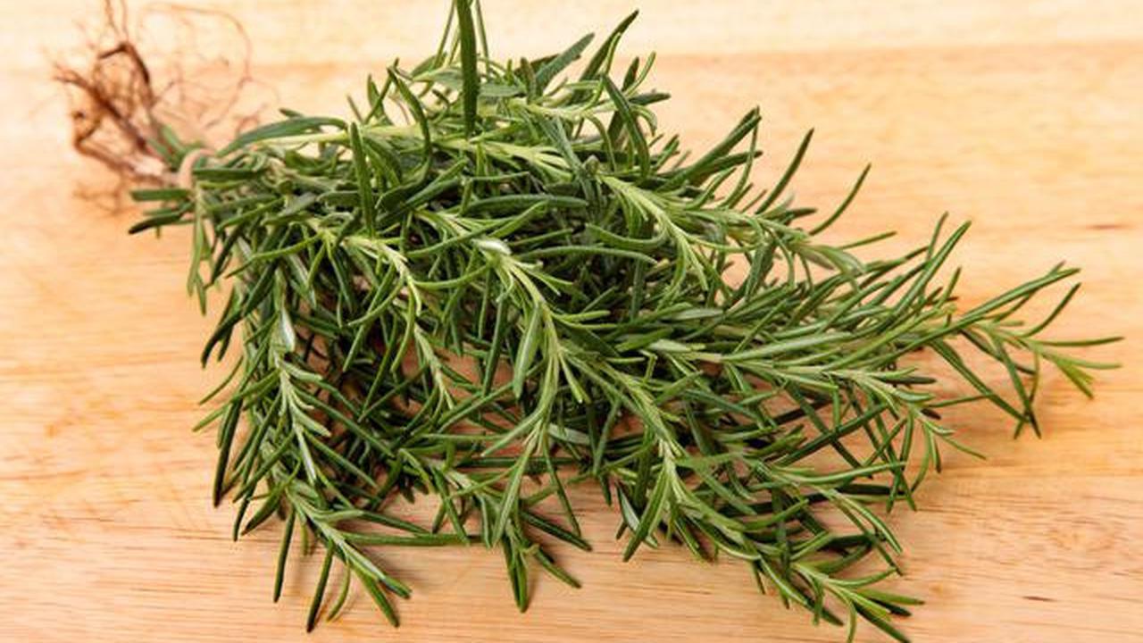 Rosemary.