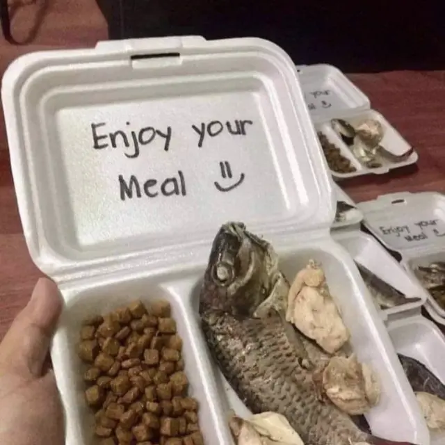 6 Lauk Pakai Ikan Belum Matang Ini Nyeleneh, Bikin Hilang Napsu Makan