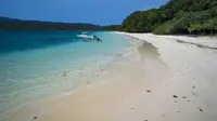 Fakta Tentang Pulau Peucang, Primadona Cantik dari Ujung Kulon 