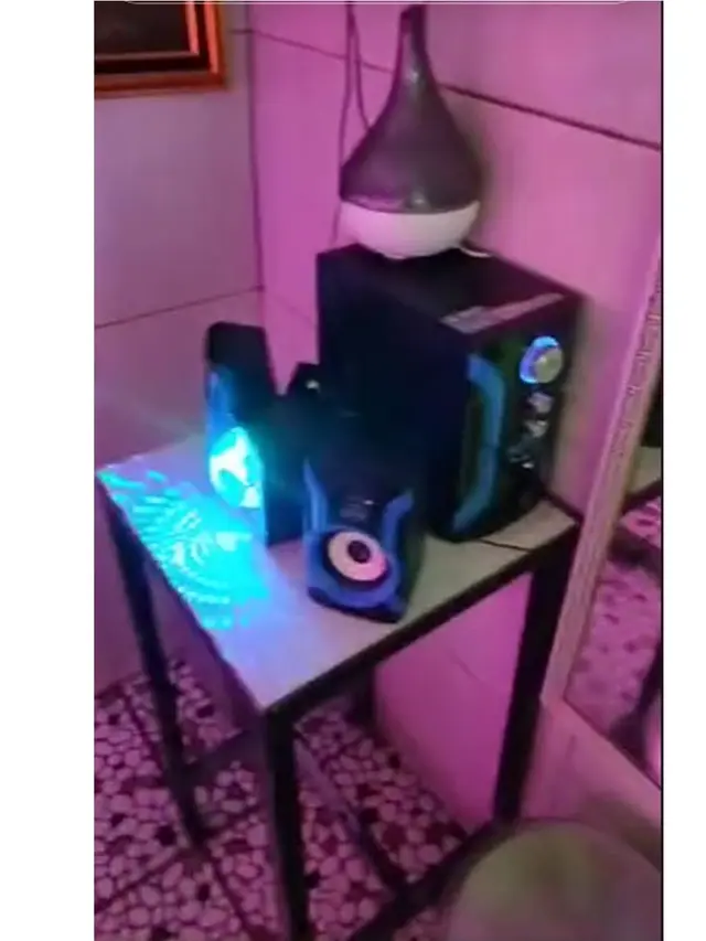 Viral Penampakan WC Berkonsep Diskotik, Dipasangi Kipas hingga Ada Sound System