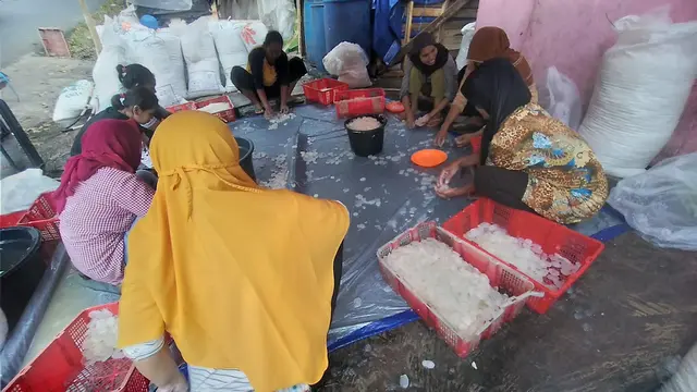 Nampak para warga dan petani kolang-kaling atau cangkaleng, Desa Tanjungsari, Kecamatan Salawu, Kabupaten Tasikmalaya, Jawa Barat sibuk mempersiapkan buah kolangkaling.