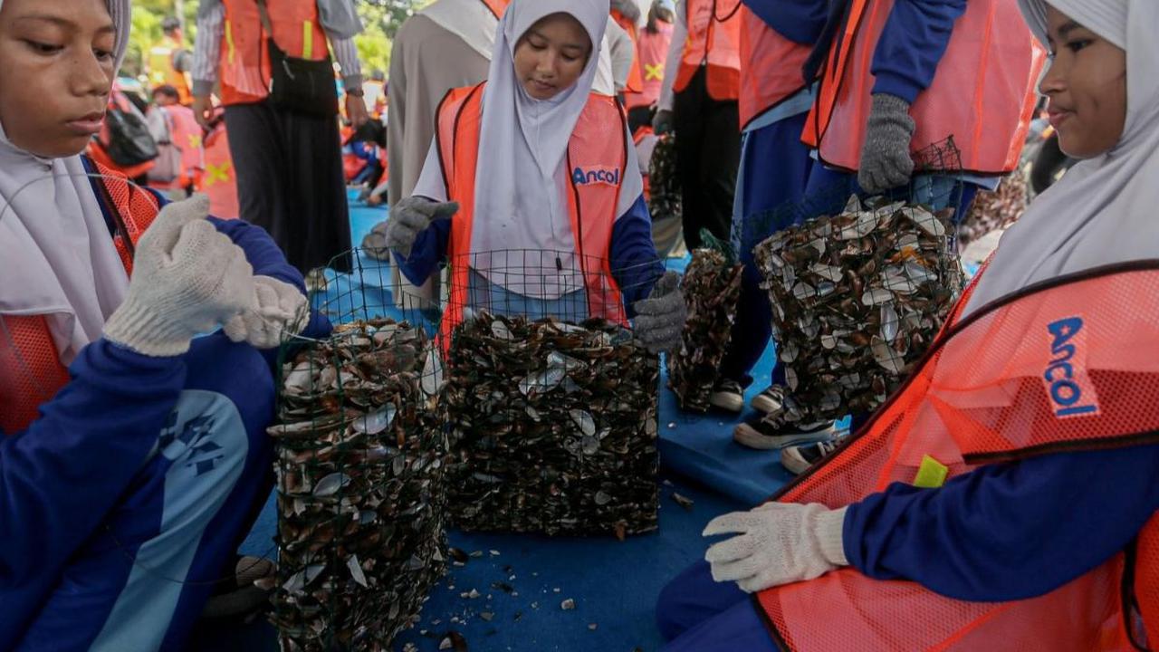 Relawan pencinta lingkungan dan pelajar Sekolah Rakyat Ancol mengumpulkan cangkang kerang hijau dalam kegiatan Amazing Earth Race di Taman Impian Jaya Ancol, Jakarta, Minggu (28/4/2024). Foto: Liputan6.com / Angga Yuniar