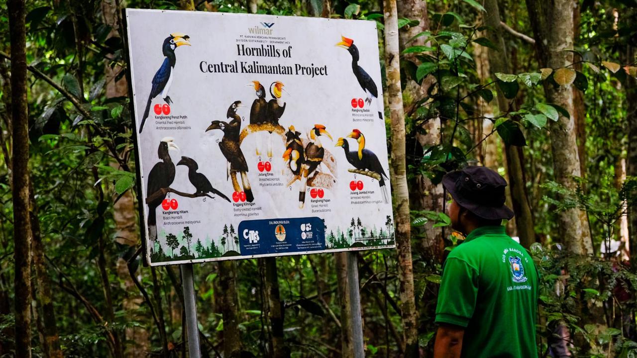 Wilmar Sulap 2 Kawasan Hutan Jadi Sekolah Alam