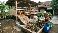Cara Memanfaatkan Lahan Bawah Kandang Ayam, Optimalkan Sudut Peternakan