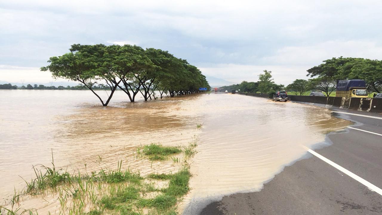 5 Kecamatan di Pemalang Alami Banjir dan Pohon Tumbang, 92 Warga Dievakuasi