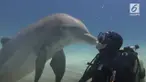 Seorang penyelam berciuman dengan lumba-lumba di dasar laut Bahama. Kejadian lucu ini terekam dalam sebuah video dan menjadi viral.