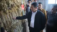 Mentan Amran: NTB Menjadi Pusat Komoditas Bawang Putih dan Jagung Nasional