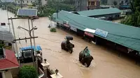 Gajah evakuasi korban banjir Nepal. (The Himalayan Times)