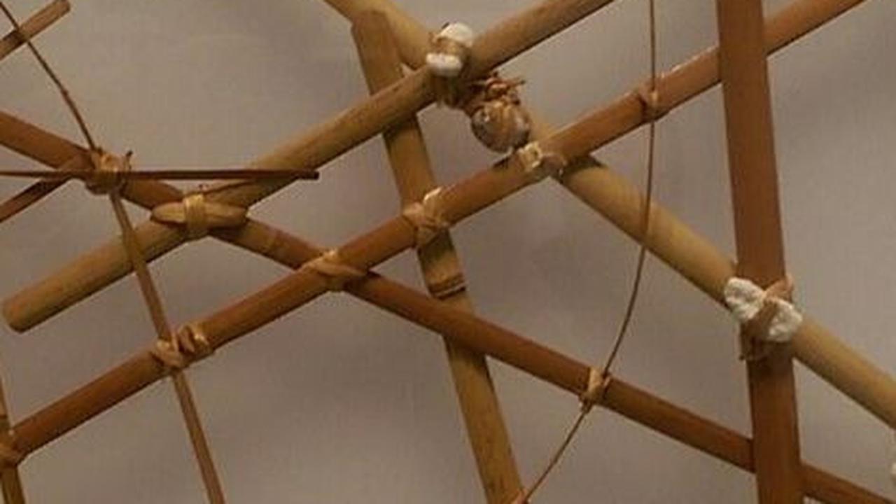 7. Petra Grafik Batang dari Orang-orang Kepulauan Marshall<br>