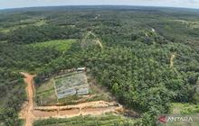 Bank Tanah Dampingi Warga Terdampak PSN Kelola Lahan Reforma Agraria di Penajam Paser Utara
