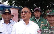 Pemkab Sigi Segera Distribusikan 1,5 Juta Bibit Kakao untuk Tingkatkan Produktivitas