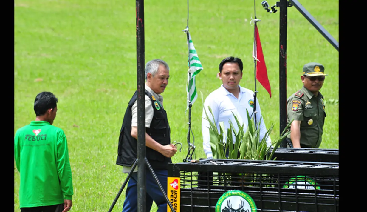 Pendiri Tambling Wildlife Nature Conservation (TWNC),Tommy Winata membuka gembok kandang saat pelepasan harimau Sumatera di Tambling Wildlife Nature Conservation di Pesisir Barat, Lampung, Selasa (3/3/2015). (Courtesy of TWNC)