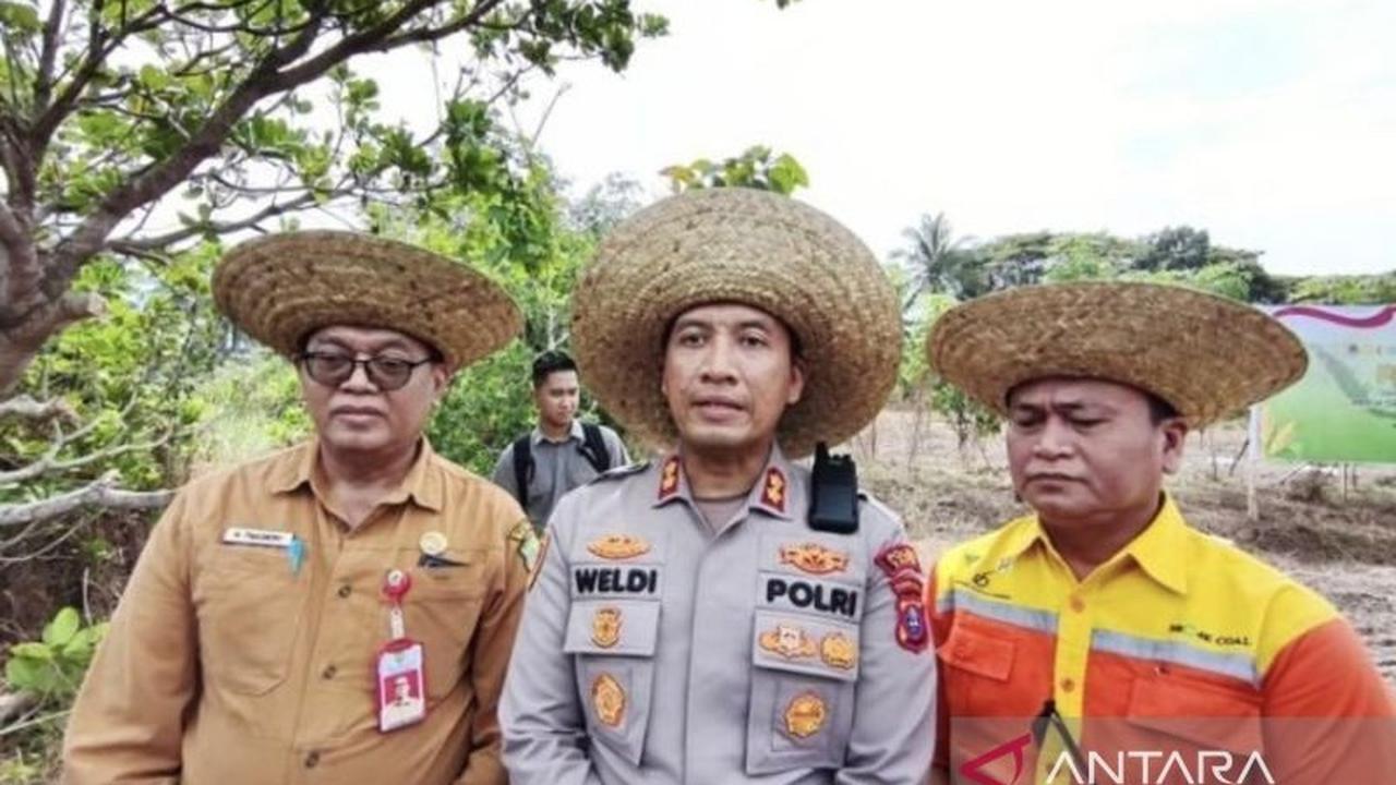Bukan Hanya Jaga Keamanan, Polres Tapin Tanam Jagung Hibrida di Lahan Tidur 1 Hektare untuk Ketahanan Pangan
