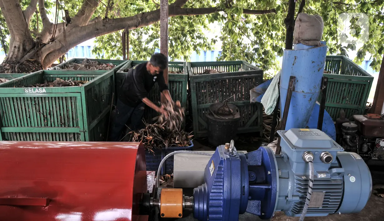 Petugas mengolah sampah organik untuk menjadi pelet bahan bakar nabati di Sekretariat Gerakan Ciliwung Bersih, Karet Bivak, Jakarta, Kamis (13/10/2022). Proses mengolah sampah organik dengan cairan bioaktivator untuk menghilangkan bau tersebut dinamakan peyeumisasi. (merdeka.com/Iqbal S. Nugroho)