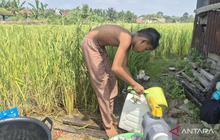 Sumur Bor Pertanian Jambi Jadi Solusi Air Bersih Warga Saat Kemarau Melanda