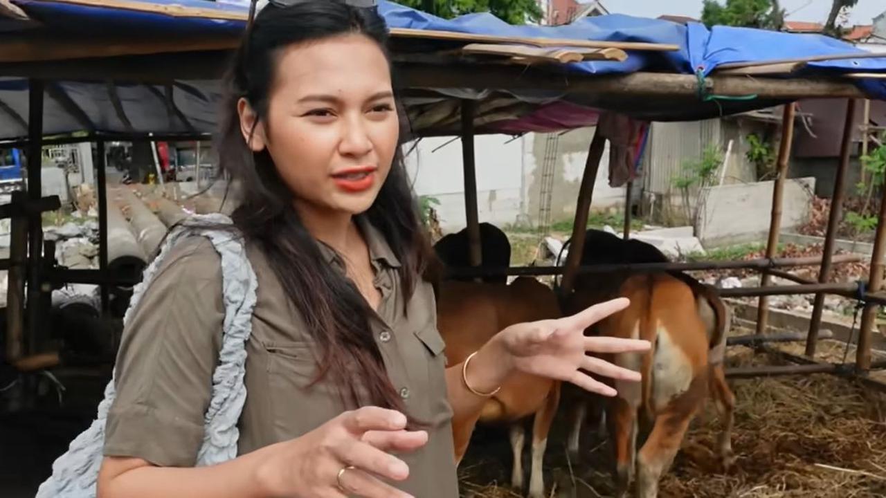 Indah Permatasari Istri Arie Kriting Buka Usaha Hewan Sapi 'Saya Sekarang Jadi Juragan Sapi
