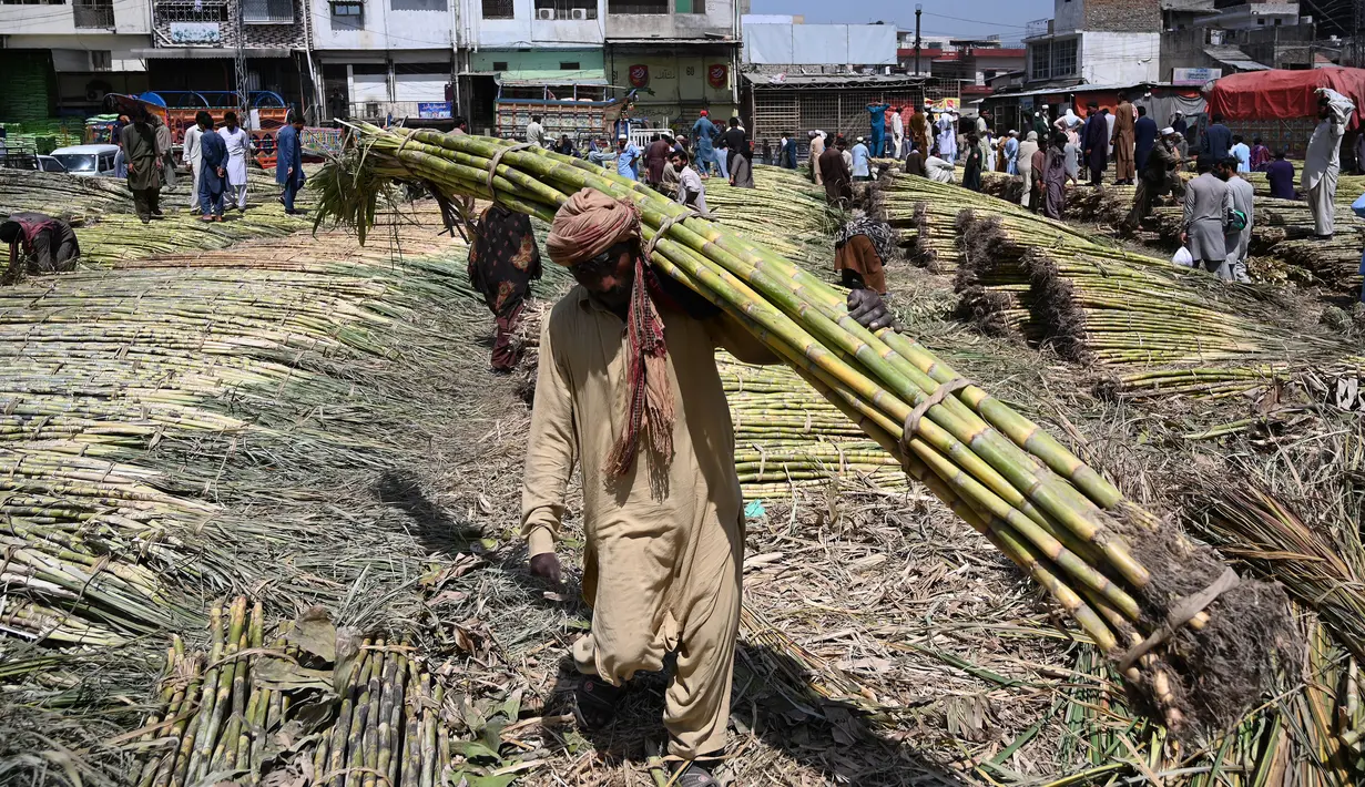 Seorang buruh Pakistan membawa tebu di sebuah pasar grosir sayuran di Islamabad (9/4). Populasi di kota ini mencapai dua juta penduduk yang merupakan kota terbesar ke-10 di Pakistan. (AFP Photo/Aamir Qureshi)