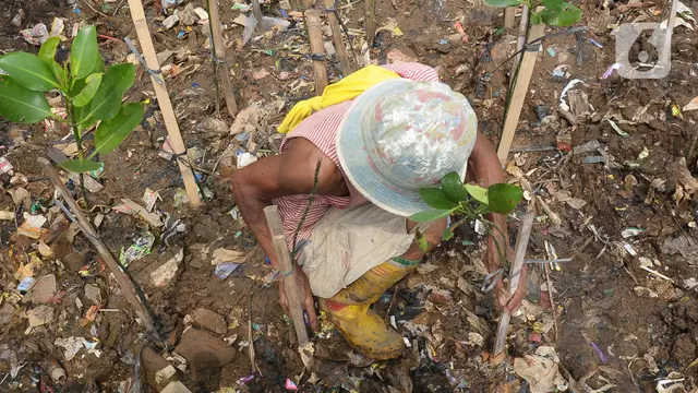 Mangrove Sedunia 2023