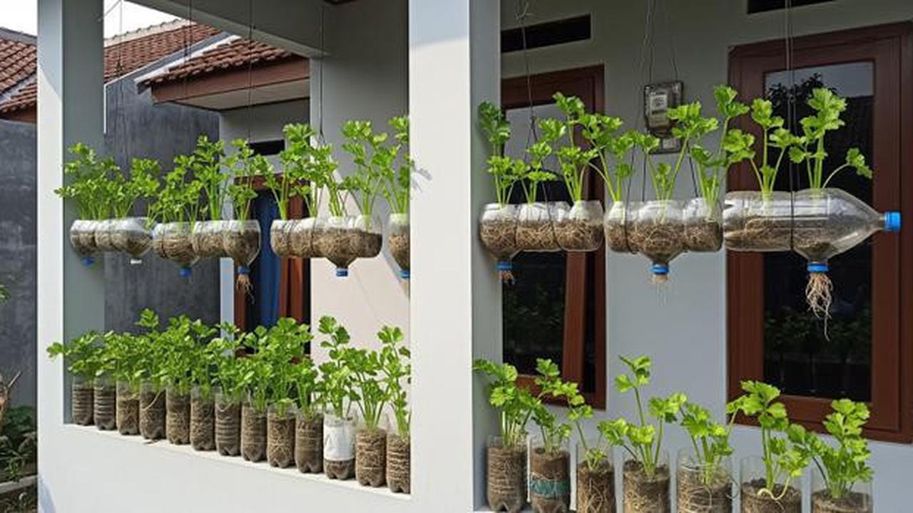 10 Jenis Sayuran yang Bisa Ditanam di Botol Plastik Bekas, Cocok Jadi Hiasan Teras