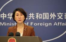 China Desak Shein Patuhi Aturan Hukum Prancis Pasca Kontroversi Boneka Seks