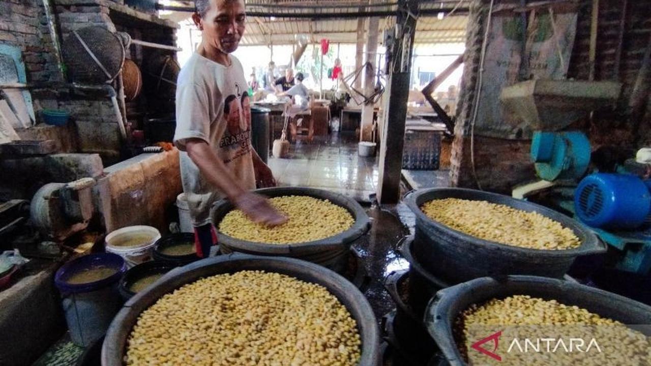 Stok Kedelai Impor Kudus Dipastikan Cukup, Harga Alami Kenaikan Pasca-Lebaran