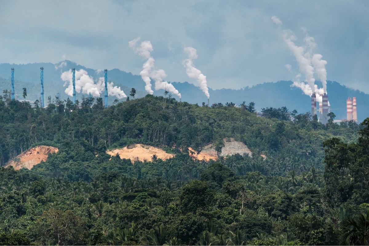 FOTO: Eksploitasi Nikel Menjadi Ancaman Keberlangsungan Hutan Masyarakat Adat di Halmahera Tengah