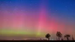 Pemandangan Aurora Borealis saat menghiasi langit Lietzen, dekat Brandenburg, bagian timur Jerman, pada 6 Maret 2016. Pancaran cahaya hijau, merah, dan ungu membuat langit terlihat indah. (AFP/dpa/Patrick Pleul/Jerman)