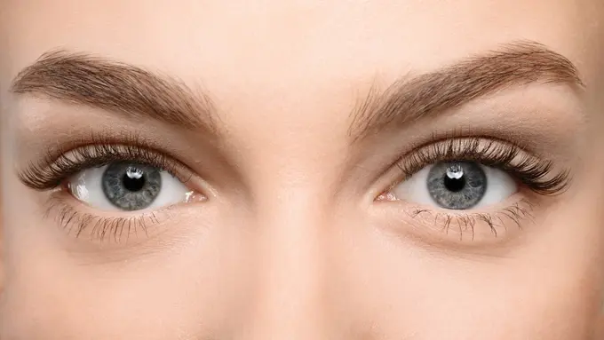Cara Membuat Bulu Mata Lentik