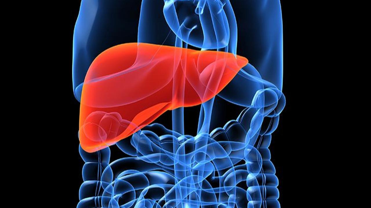 <b>5. Menyehatkan Liver</b>