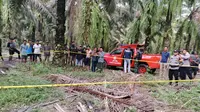 Pembegal Pelajar SMK di Lampung Ditangkap, Korban Tewas Membusuk di Perkebunan Sawit