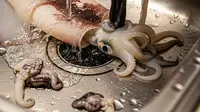 6 Cara Menyimpan Cumi agar Tidak Menghitam dan Tetap Segar Lebih Lama, Kunci Dapur Anti Bau Amis