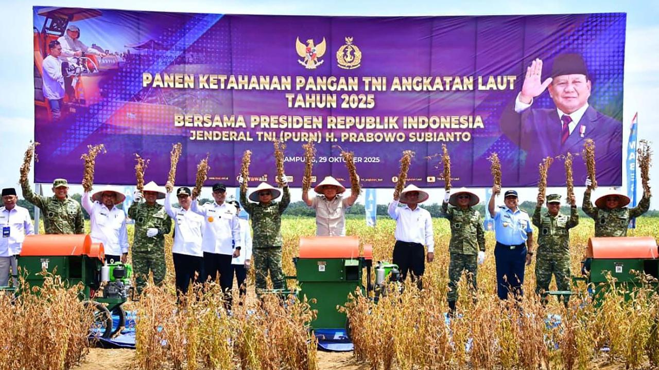 FOTO: TNI AL Panen Kedelai di Lampung Utara, Dorong Swasembada Pangan Nasional