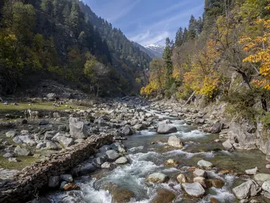 Seorang anak Kashmir (kiri) berdiri dengan kudanya yang digunakan untuk perjalanan wisata di Naranag, utara Srinagar, Kashmir yang dikuasai India, Minggu (31/10/2021). Naranag adalah desa wisata dan situs ziarah Hindu kuno di distrik Ganderbal, Jammu dan Kashmir, India. (AP Photo/Dar Yasin)