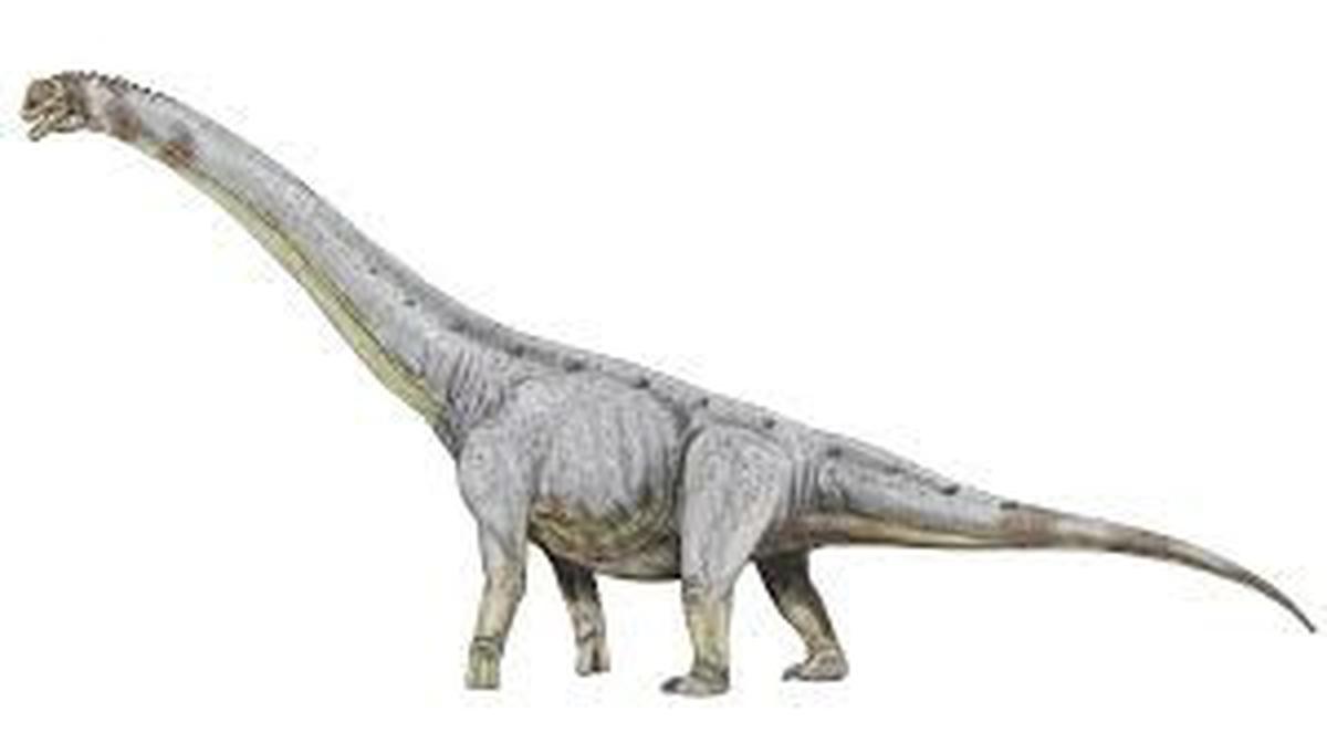 8 Titanosaurus Terbesar: Mengungkap Rahasia Raksasa Zaman Kapur