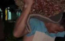 Duduk Masalah Viral Warga di Musi Rawas Diarak Sambil Pikul Tandan Sawit, Ternyata Tetanggaan Sama Pemilik