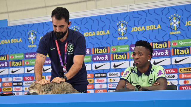 Kucing Ikutan Jumpa Pers Vinicius Junior