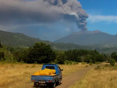 Mobil berjalan saat Gunung Raung mengeluarkan awan panas yang terlihat dari Kabupaten  Bondowoso, Jatim, Minggu (12/7). Gunung Raung terus menunjukkan aktivitas vulkaniknya dan menyebabkan terjadi hujan abu tipis di sejumlah wilayah. (AFP PHOTO/WIDARSHA)