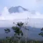 Seorang pendaki tewas saat mendaki Gunung Semeru, hingga harga tomat turun drastis di kisaran Rp 100 dan Rp 200 per kilogram.