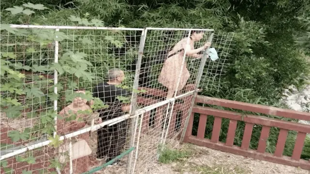 Ramai Pengunjung, Alasan Ditutupnya Taman Bunga Ini Bikin Geleng Kepala