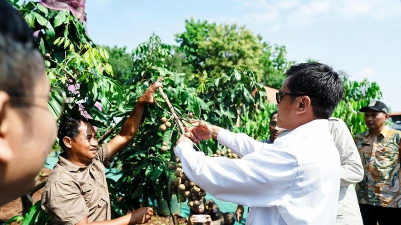 Pemerintah Intensifkan Pendekatan Berbasis Wilayah untuk Pengentasan Kemiskinan Ekstrem