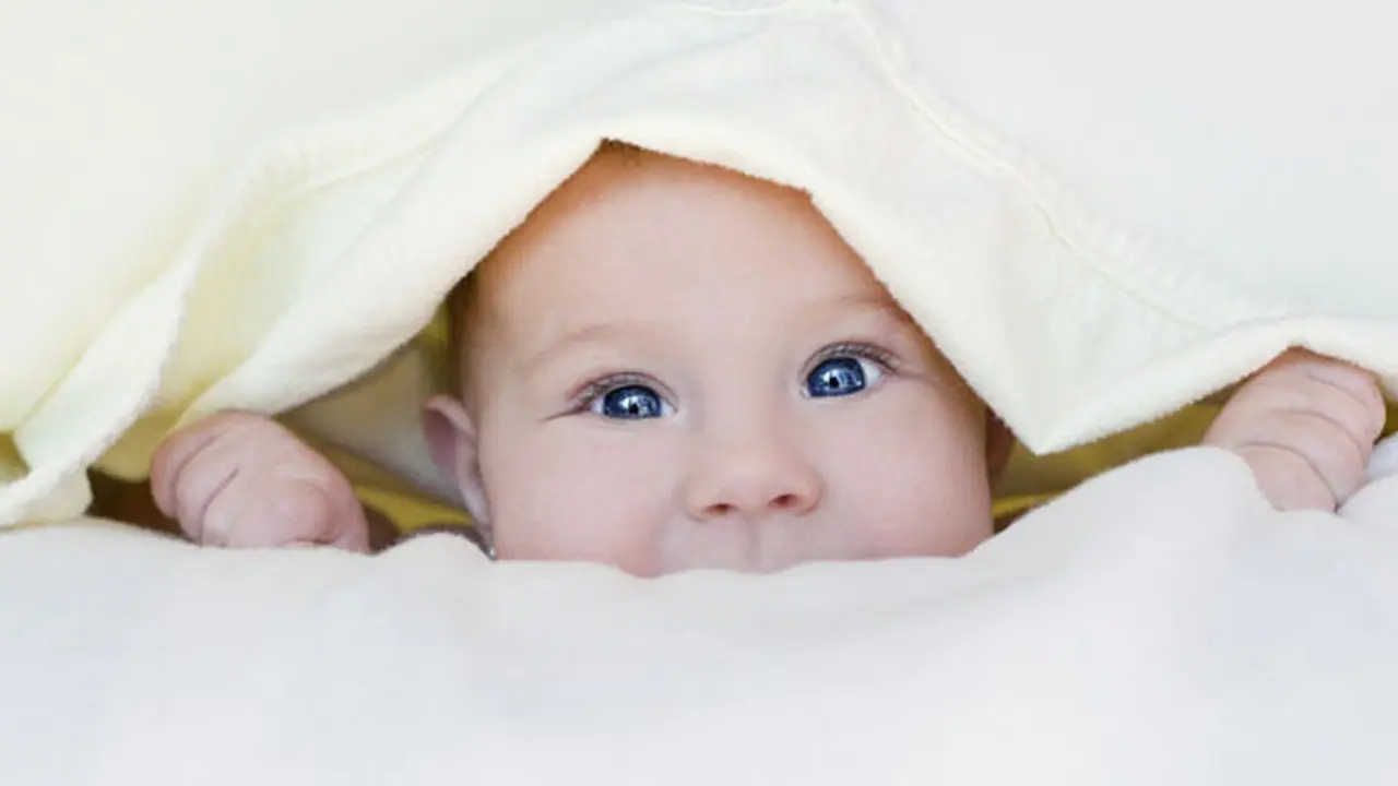 (c) shutterstock