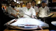 Pemilik restoran, Kiyoshi Kimura tersenyum sebelum memotong tuna sirip biru dengan berat 200 kg di depan restorannya, Tsukiji, Jepang, Selasa (5/1). Kimura mendapatkan tuna sirip biru dengan harga 14 juta yen atau Rp 1,6 miliar. (REUTERS/Toru Hanai)